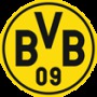 14 Gründe für ein Investment in BVB. 17855146